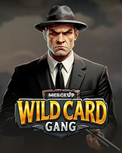 Wild Card Gang | Supercat Casino NL